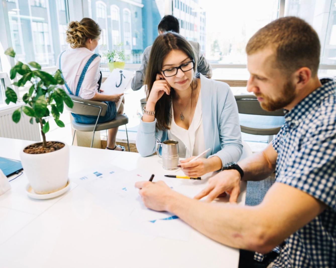 Professional financial consultation and business operations training session